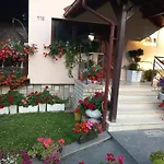 Apartment Vihor