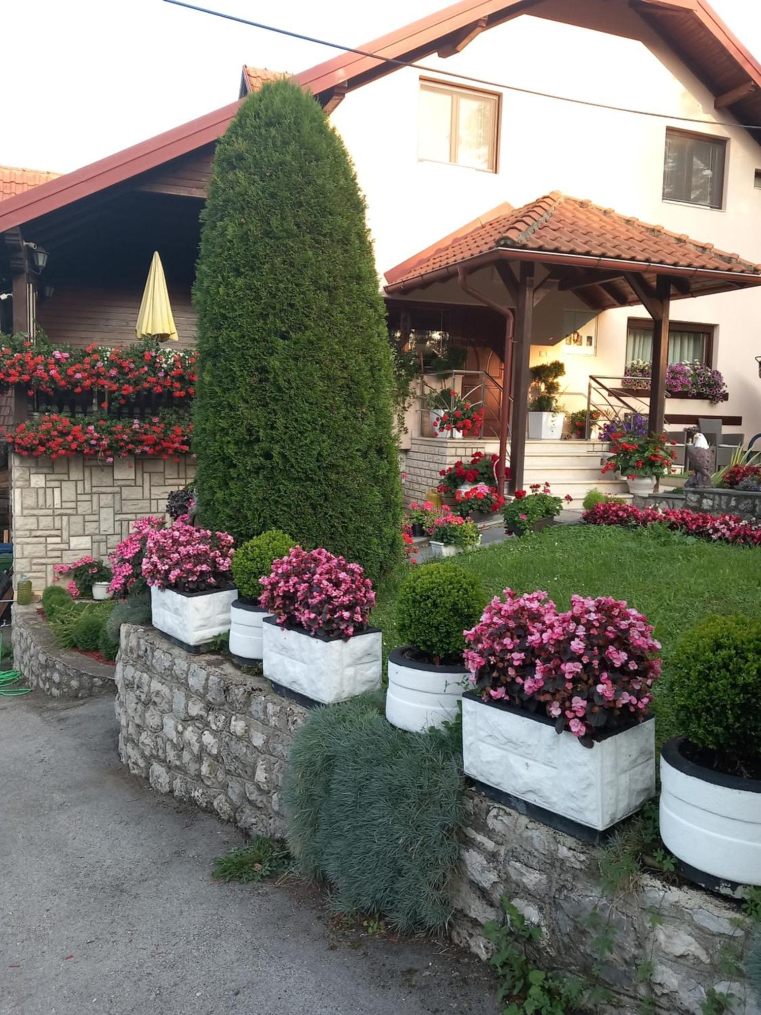 Apartment Vihor *