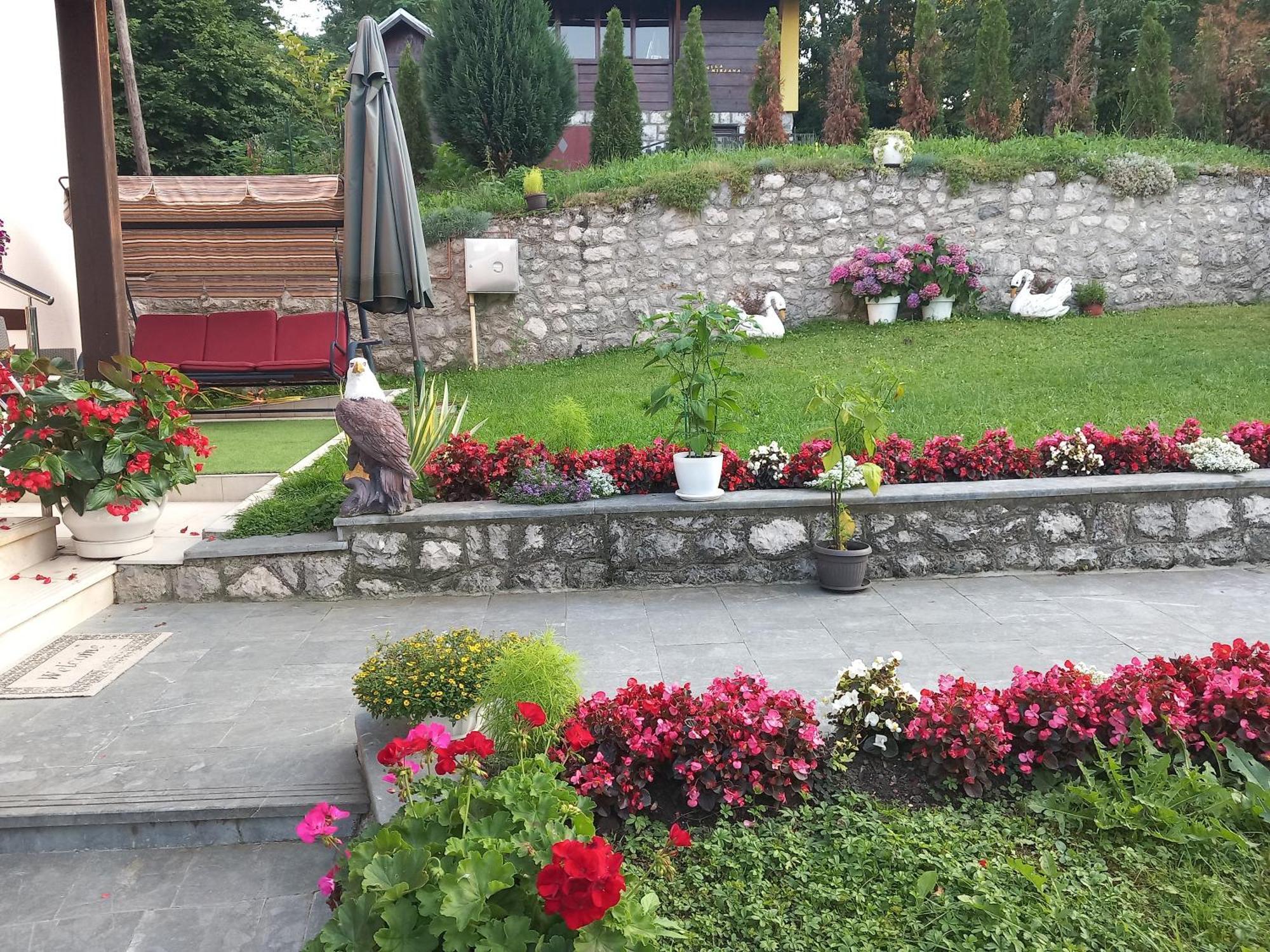 Vihor Apartment *