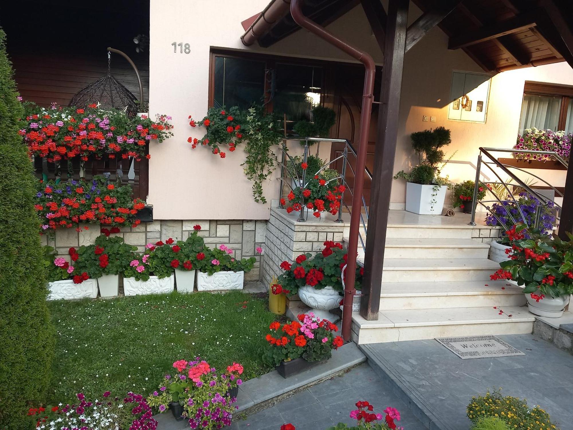 Vihor Apartment Zlatibor